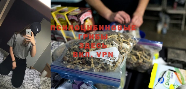 ГАЛЛЮЦИНОГЕННЫЕ ГРИБЫ Армянск